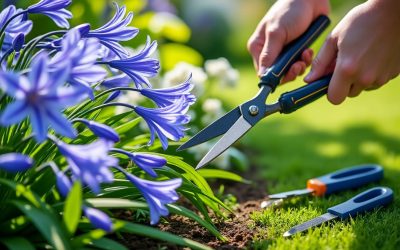 Guide pratique pour tailler vos agapanthes et favoriser leur floraison