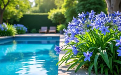 Est-il judicieux de planter une agapanthe près de votre piscine ?