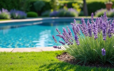 Est-il recommandé de planter de la lavande à proximité d’une piscine ?