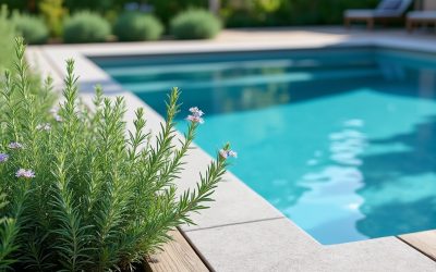 Romarin et piscine : conseils pour une cohabitation harmonieuse dans votre jardin